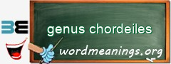 WordMeaning blackboard for genus chordeiles